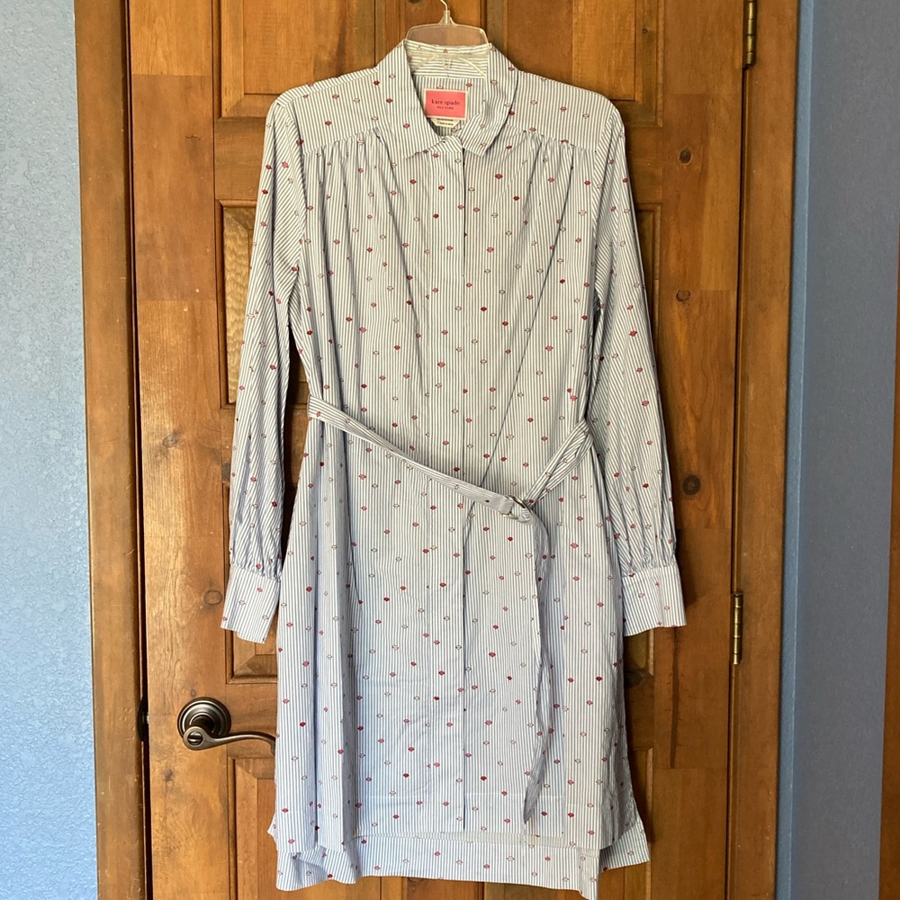 kate spade lips stripe shirt dress